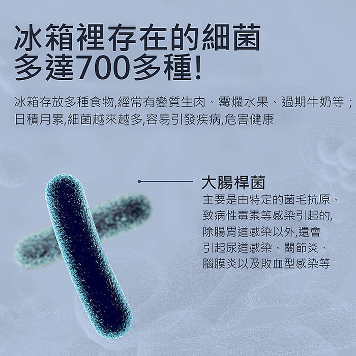 冰箱除臭器 臭氧抑菌除味淨化器 食物保鮮 (USB電源/白色)