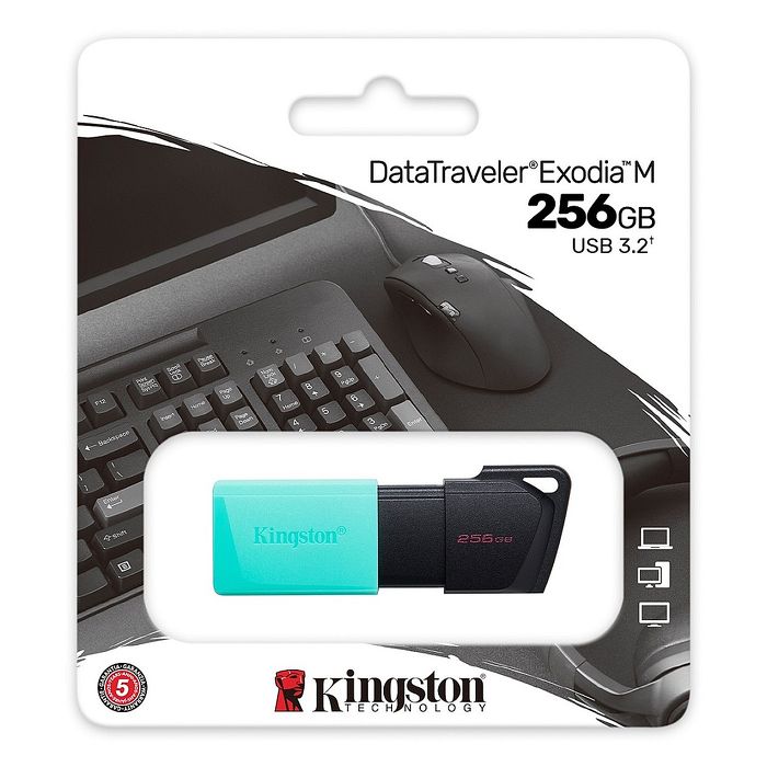 Kingston 金士頓 DataTraveler Exodia M USB 3.2  256GB【DTXM/256GB】隨身碟