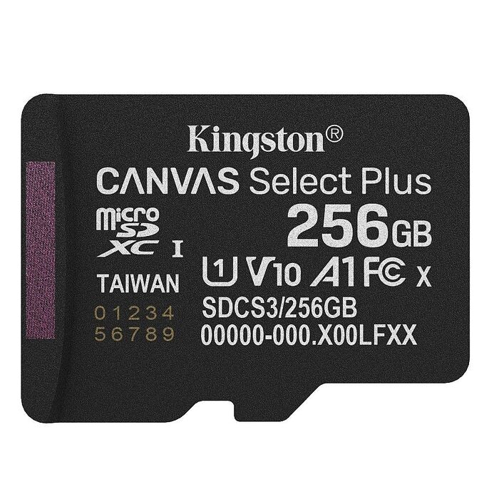 Kingston 金士頓256G 256GB microSDXC 150MB/s U A1 V10 記憶卡( SDCS3/256GB)