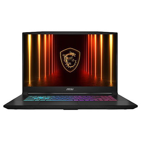 【記憶體升級特仕版】msi微星 Katana 17 HX B14WFK-203TW 17.3吋 電競筆電(i7-14650HX/32G/1T SSD/RTX5060-8G/Win11-32G特仕版)