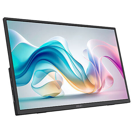 msi微星 PRO MP165 E6 15.6吋 可攜式 平面螢幕(15.6"/1920x1080/16:9/60Hz/IPS/喇叭/攜帶型螢幕)