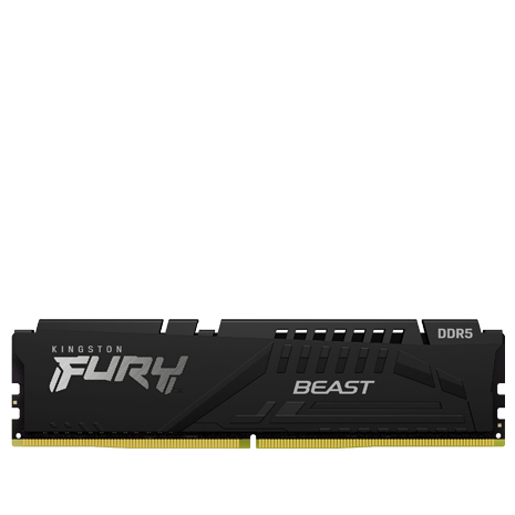Kingston 金士頓 FURY Beast 獸獵者 DDR5-5600 16G 桌上型超頻記憶體(支援XMP3.0、EXPO)《黑》