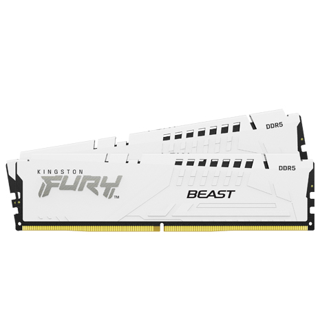 Kingston 金士頓 FURY Beast 獸獵者 DDR5-5600 16G*2 桌上型超頻記憶體(KF556C36BWEK2-32)《白》(支援XMP3.0、EXPO)