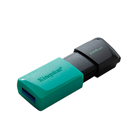 Kingston 金士頓 DataTraveler Exodia M 256GB USB3.2 隨身碟(DTXM/256GB)