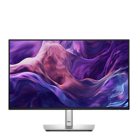 DELL 戴爾 P2425H 24型 IPS 液晶螢幕《原廠四年保固》