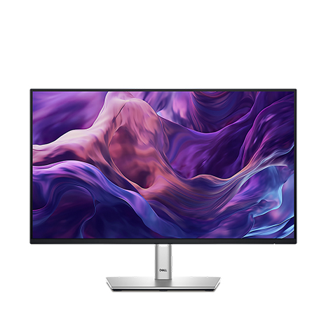 DELL 戴爾 P2425HE 24型 IPS 液晶螢幕《原廠四年保固》