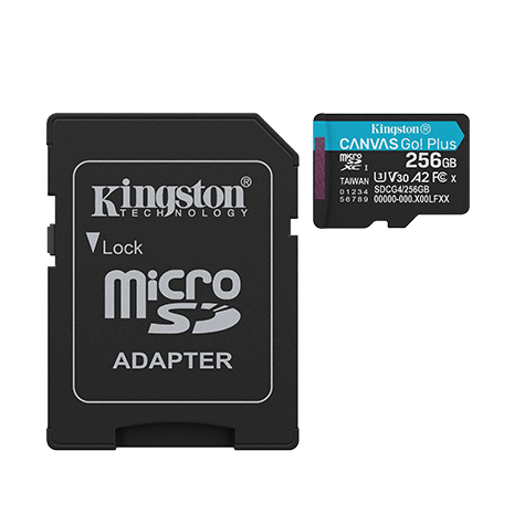 Kingston 金士頓 Canvas Go Plus 256GB Micro/UHS-I 記憶卡(SDCG4/256GB)