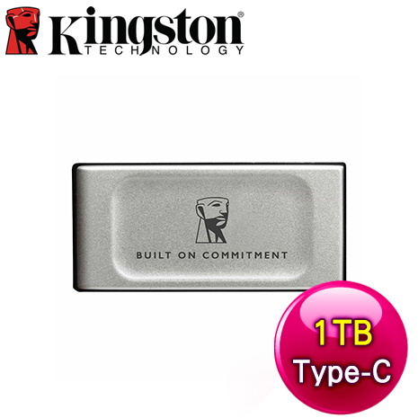 Kingston 金士頓 XS2000 1TB (新版) USB3.2 TYPE-C 外接式SSD