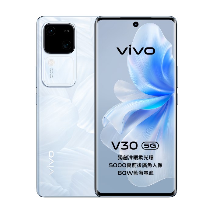 vivo V30 12G/512G (白)【全新出清品】