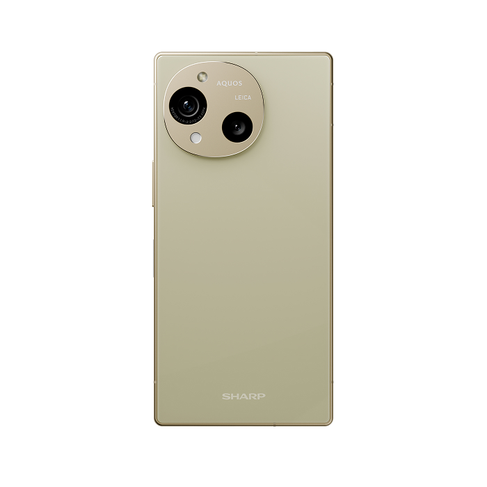 SHARP AQUOS R10_12G/256G-(米)(5G)