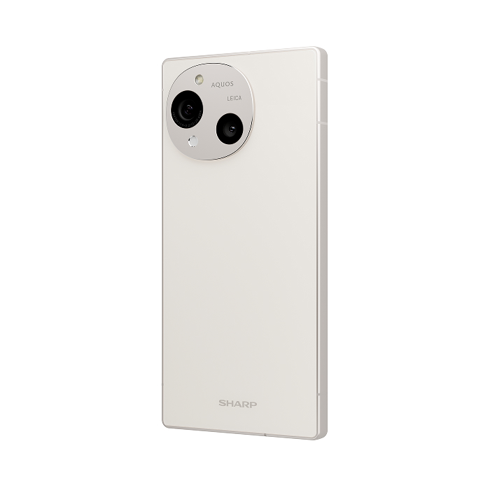 SHARP AQUOS R10_12G/256G-(白)(5G)