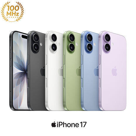 APPLE iPhone 17 512G (綠)【PQI 35W充電組+殼貼】