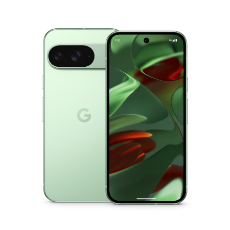 Google Pixel 9 12G/128G (嫩芽綠)【全新出清品】