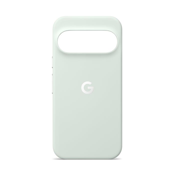 Google Pixel 11 Pro Pixelsnap原廠磁吸保護殼-迷霧灰