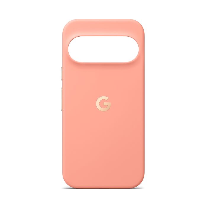 Google Pixel 11 Pro Pixelsnap原廠磁吸保護殼-砂岩粉