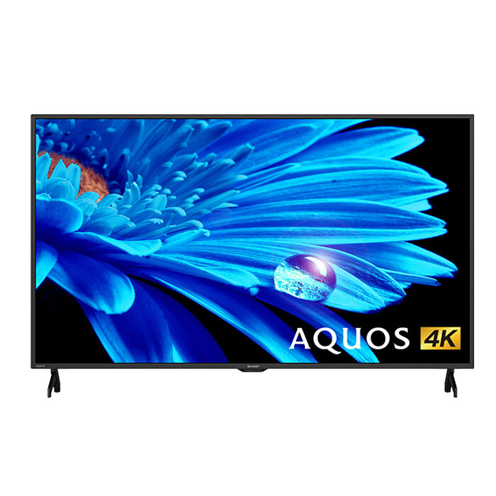 夏普 65吋 4K Google TV液晶顯示器 4T-C65FK1X (送基本安裝)