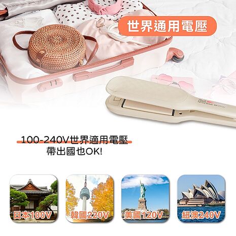 ISITO 蓬蓬直髮翻轉兩用夾 IS-24E02DH