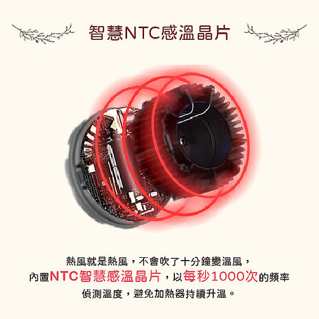 ISITO 高效速乾負離子吹風機 IS-24E05D