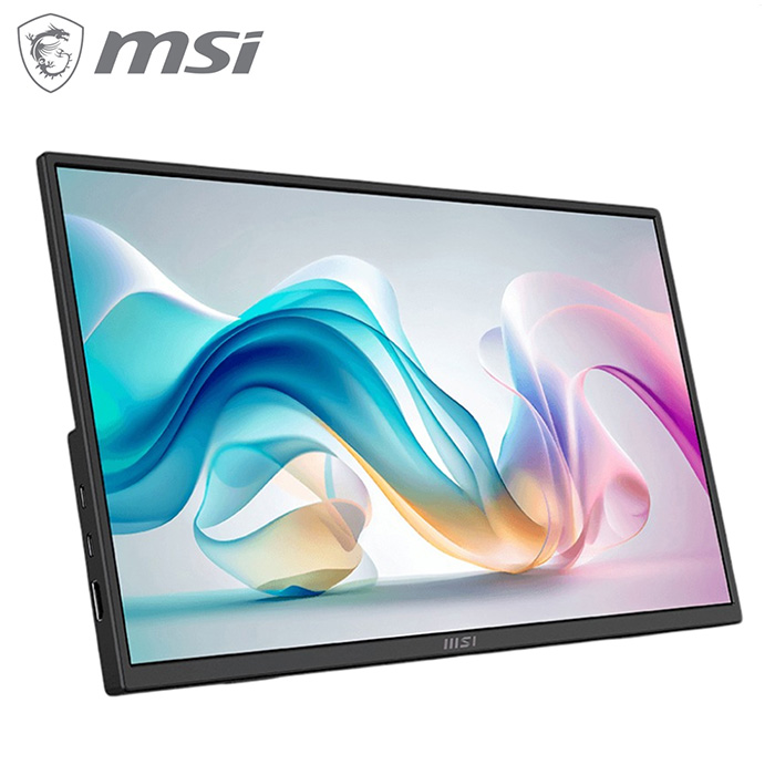 MSI 微星 MSI PRO MP165 E6 攜帶式螢幕(16型/FHD/Type C)