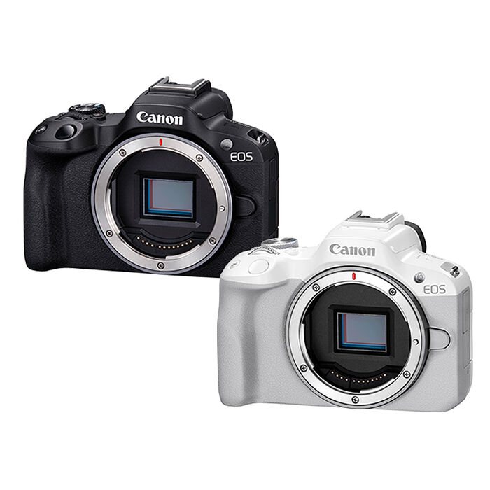 Canon EOS R50 BODY 單機身 公司貨
