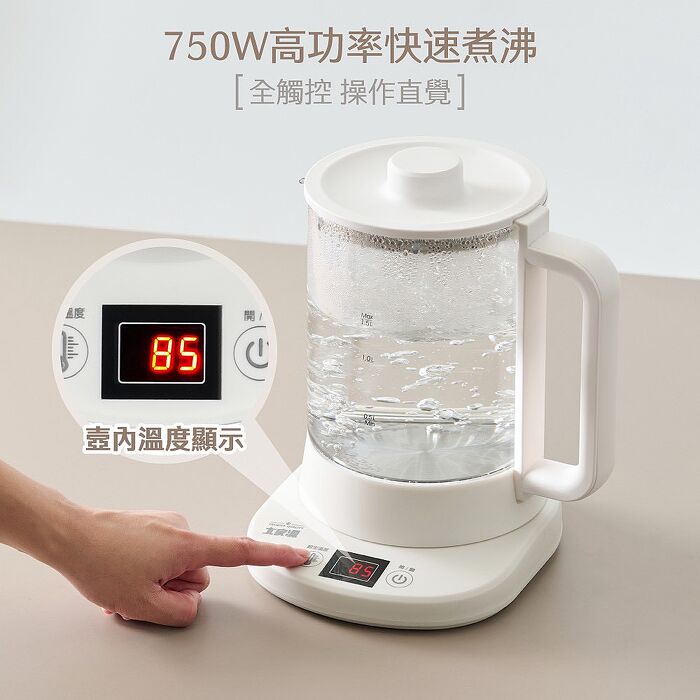 大家源 智能溫控玻璃快煮壺(TCY-261810)