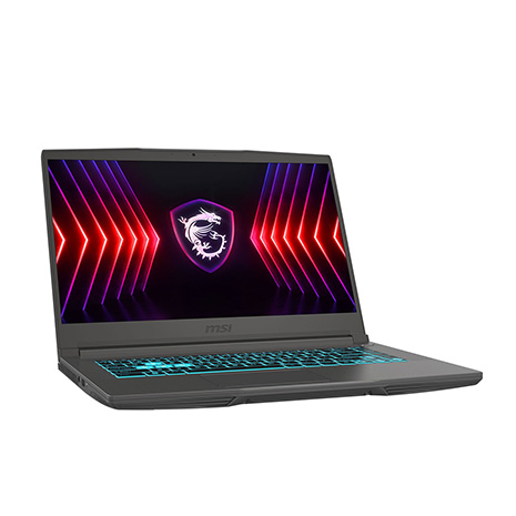 MSI Thin A15 B7VE-031TW 灰 15.6吋電競筆電 (FHD IPS 144Hz/AMD R5-7535HS/16G+16G DDR5/1T PCIE SSD/RTX 4050 6G/WIN 11)【全面升級特仕版】【MSI豪禮大放送】