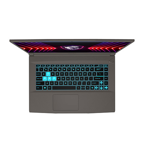 MSI Thin A15 B7VE-031TW 灰 15.6吋電競筆電 (FHD IPS 144Hz/AMD R5-7535HS/16G+16G DDR5/1T PCIE SSD/RTX 4050 6G/WIN 11)【全面升級特仕版】【MSI豪禮大放送】