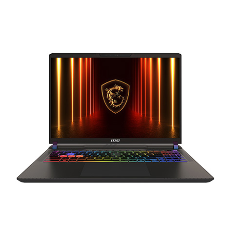 MSI Vector 16 HX AI A2XWGG-008TW 黑 16吋電競筆電 (QHD+ IPS 240Hz/Ultra 9 275HX/32G DDR5/1T+1T PCIE SSD/RTX 5070 8G/WIN 11)【硬碟升級特仕版】