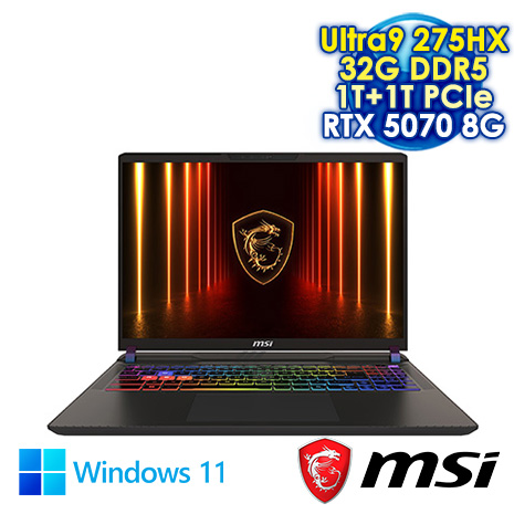 MSI Vector 16 HX AI A2XWGG-008TW 黑 16吋電競筆電 (QHD+ IPS 240Hz/Ultra 9 275HX/32G DDR5/1T+1T PCIE SSD/RTX 5070 8G/WIN 11)【硬碟升級特仕版】