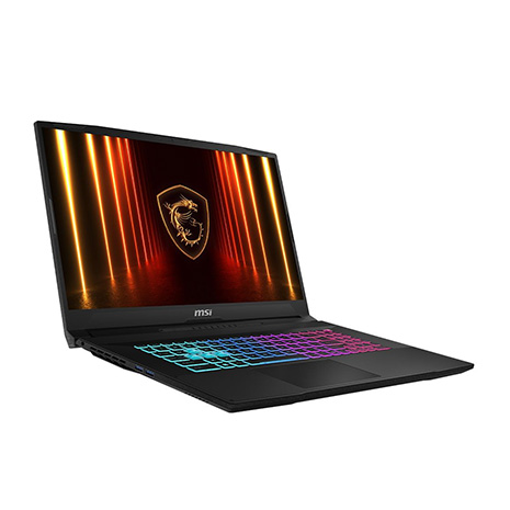 MSI Katana 17 HX B14WFK-203TW 黑 17.3吋電競筆電 (QHD IPS 240Hz/Intel i7-14650HX/16G+16G DDR5/1T PCIE SSD/RTX 5060 8G/WIN 11)【記憶體升級特仕版】