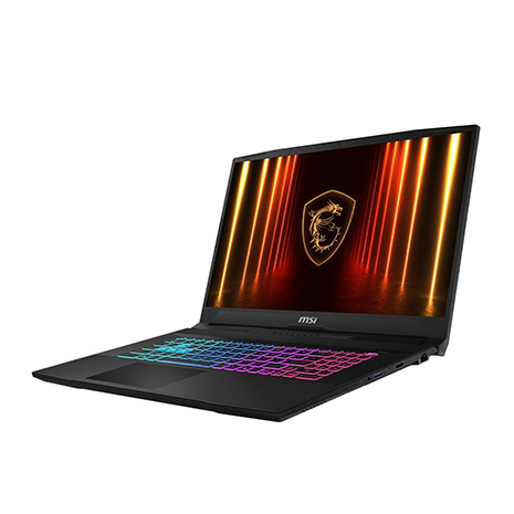 MSI Katana 17 HX B14WFK-203TW 黑 17.3吋電競筆電 (QHD IPS 240Hz/Intel i7-14650HX/16G+16G DDR5/1T PCIE SSD/RTX 5060 8G/WIN 11)【記憶體升級特仕版】