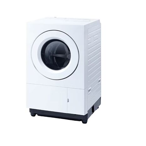 Panasonic 國際牌 日製 10.5/6kg 滾筒式低溫柔護洗脫烘洗衣機 NA-SD10TB 含標準安裝與回收舊機
